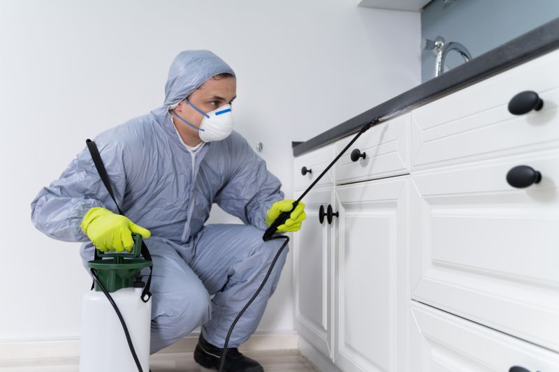 Bug Extermination Service in Arlington, TX