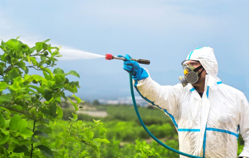 Commercial Fumigation in Marietta, GA