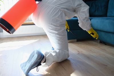 Pest Fumigation Service in Franklin, TN