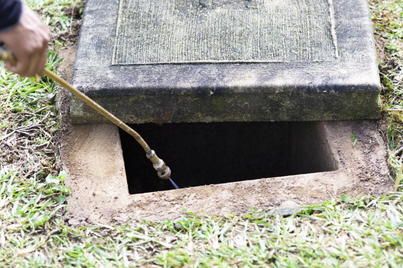 Pest Fumigation Service in Naperville, IL
