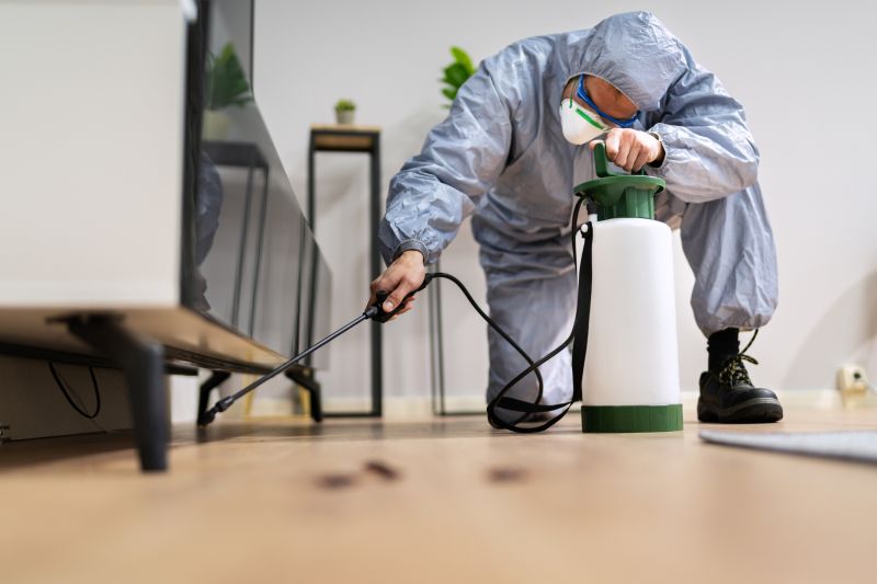 Rat Fumigation Service in Wilmington, NC