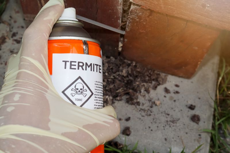 Health And Property Risks Associated With Termite Activity