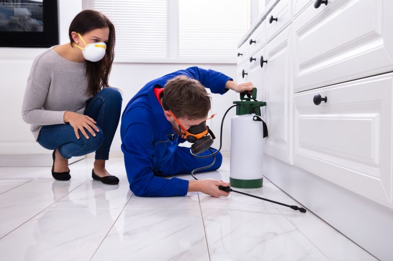 Lawn Insect Spraying in Arlington, TX