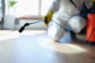 Pest Fumigation Service in Columbus, OH