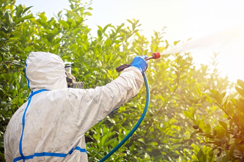 Spider Fumigation Service in Myrtle Beach, SC