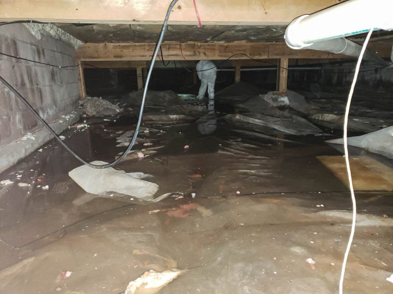 Crawl Space Examination