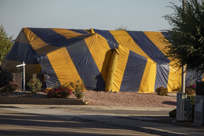 Termite Tenting in Cumming, GA